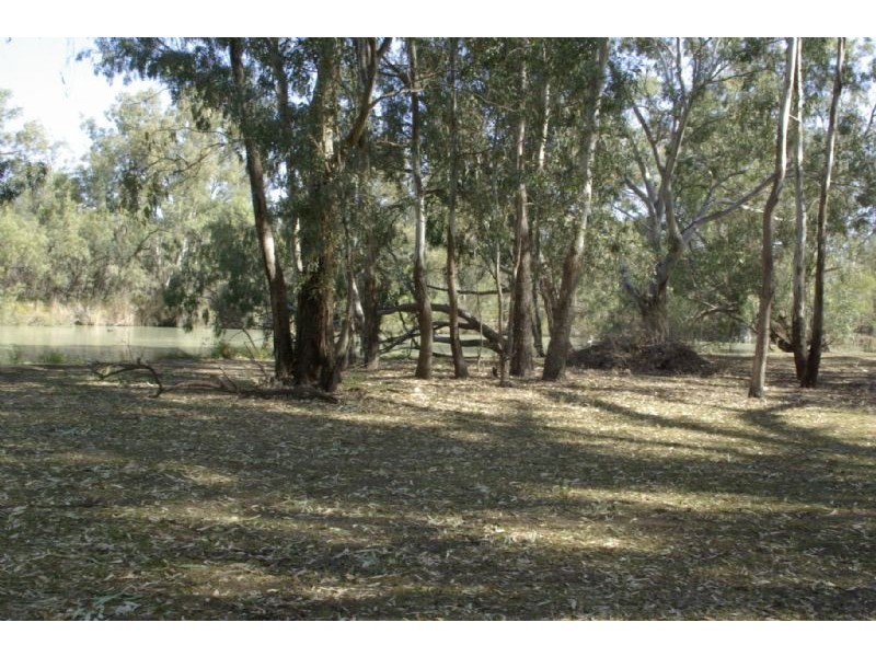 Lot 6 Tapio River front Pooncarie Road, Wentworth NSW 2648