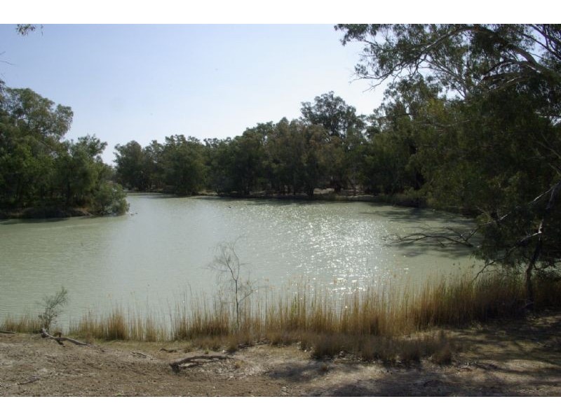 Lot 6 Tapio River front Pooncarie Road, Wentworth NSW 2648