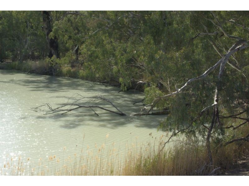 Lot 6 Tapio River front Pooncarie Road, Wentworth NSW 2648