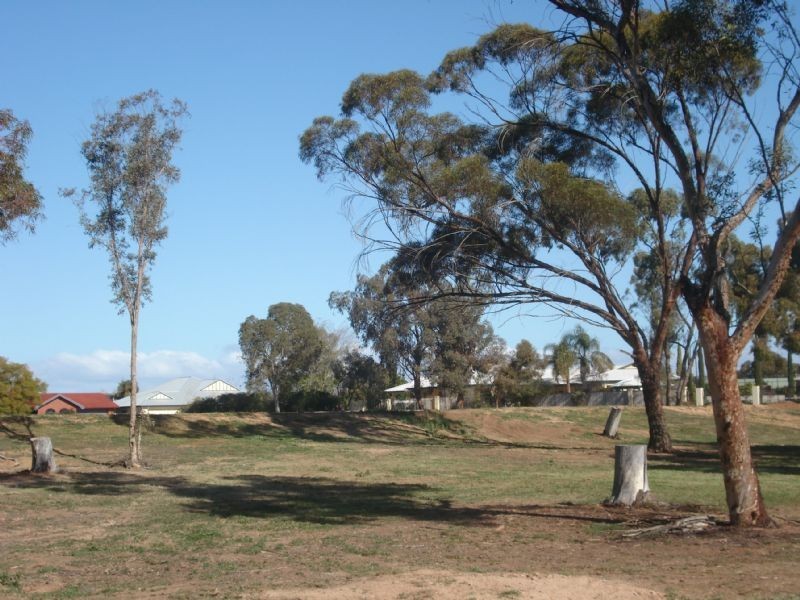 2 Mayfield Rise, Mildura VIC 3500