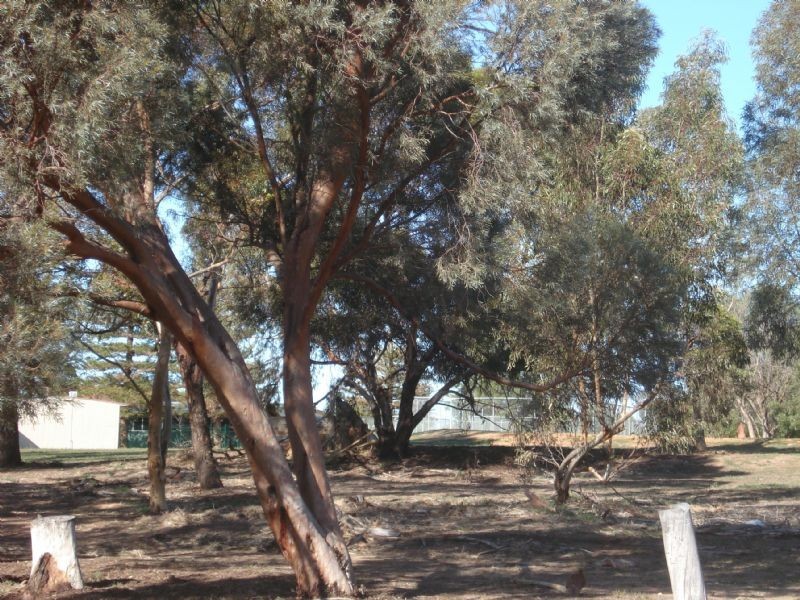 2 Mayfield Rise, Mildura VIC 3500