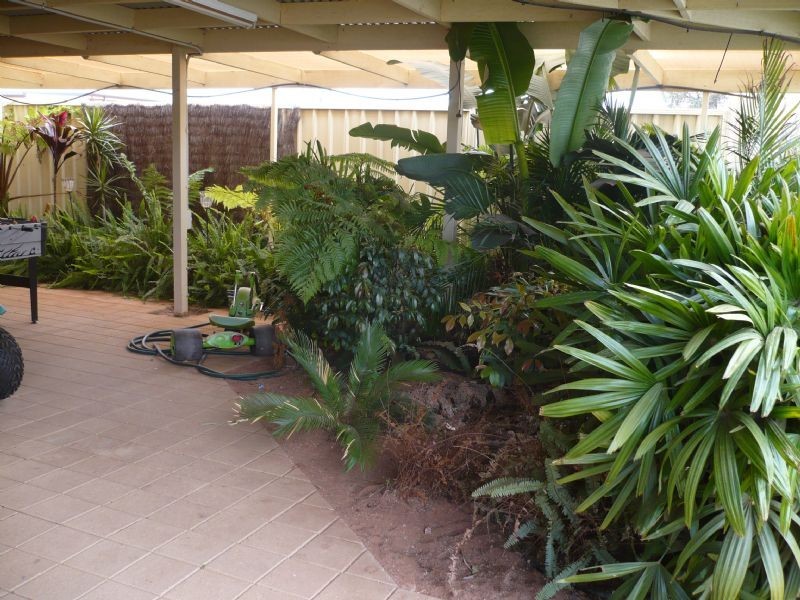 7 Melia Avenue, Red Cliffs VIC 3496