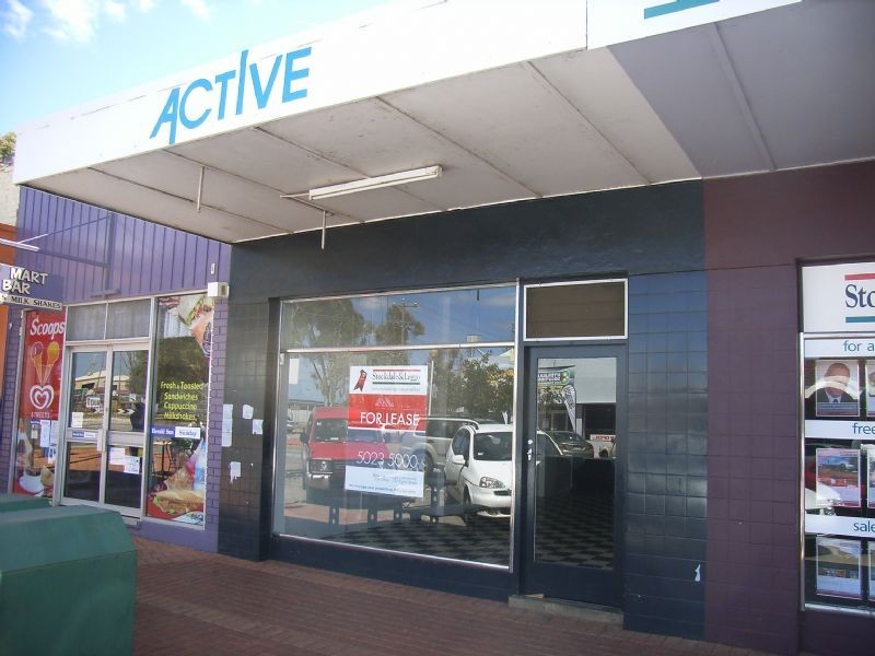 9 Perrin Street, Robinvale VIC 3549