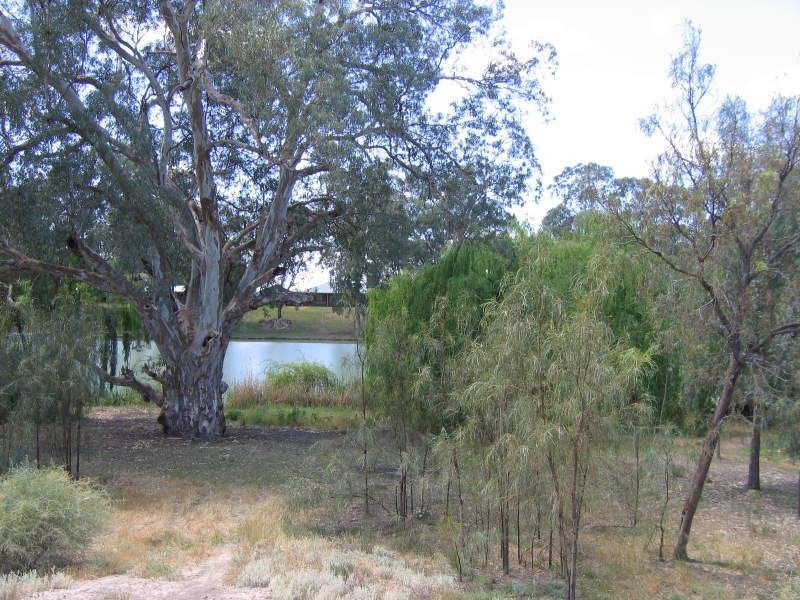 3/155 Darling Street, Wentworth NSW 2648