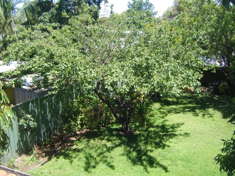 65 Ontario Avenue, Mildura VIC 3500