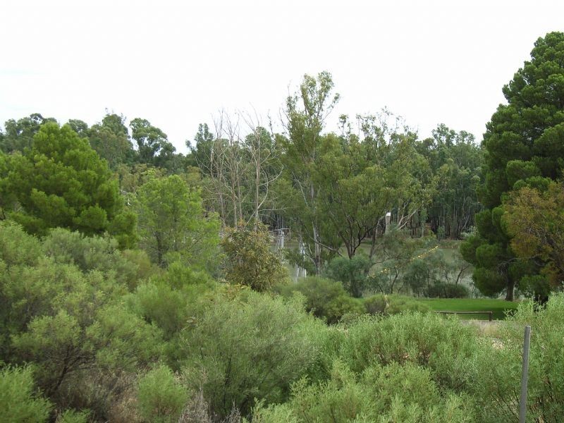 96 Pethard Road, Robinvale VIC 3549