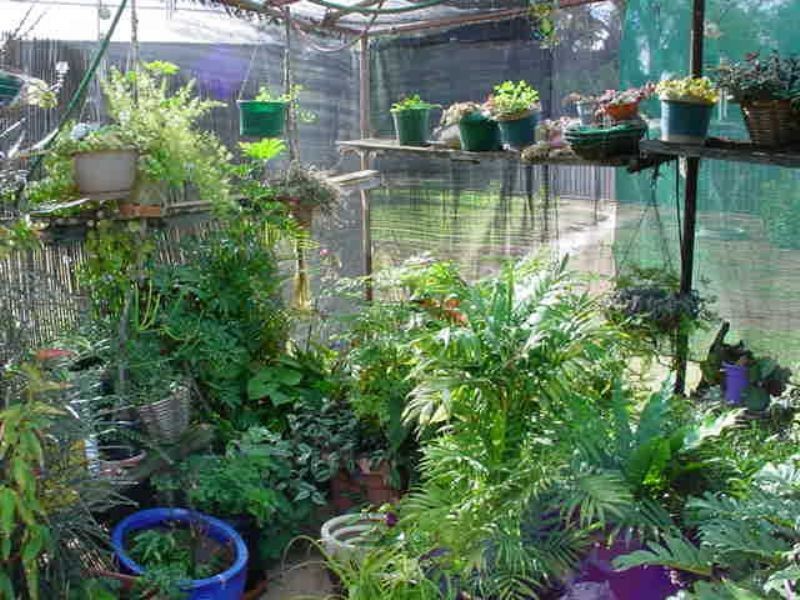 5  Britt Street, Ouyen VIC 3490