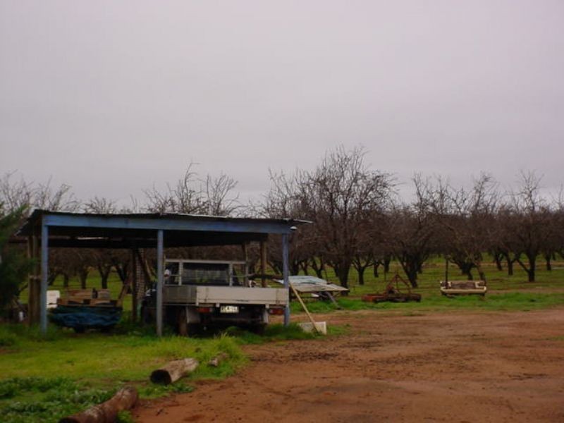 184 Dumosa Street, Red Cliffs VIC 3496