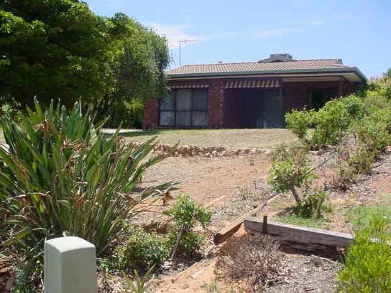 39 Riverview Drive, Dareton NSW 2717