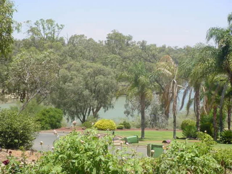 39 Riverview Drive, Dareton NSW 2717
