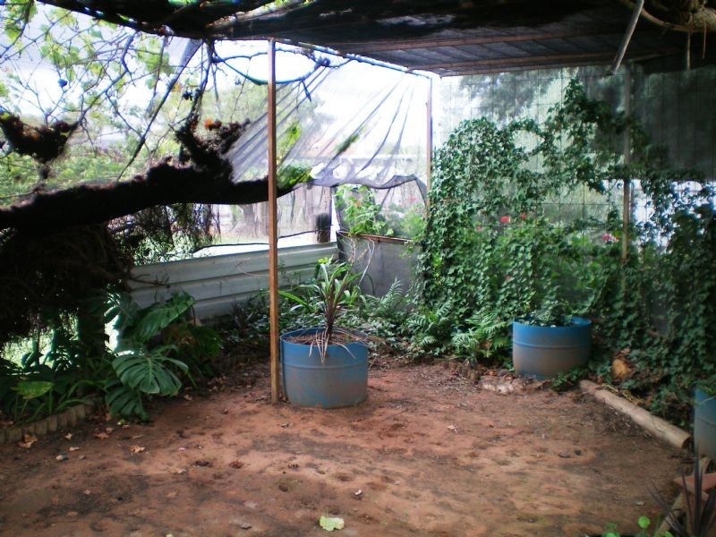 825 Fourteenth Street, Mildura VIC 3500