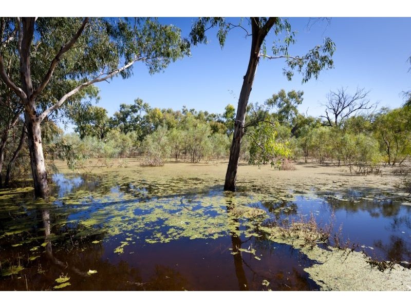 196 Adams Street, Wentworth NSW 2648