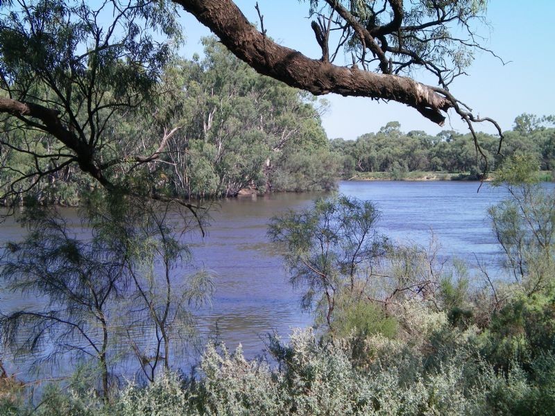 473 Devenport Street, Dareton NSW 2717