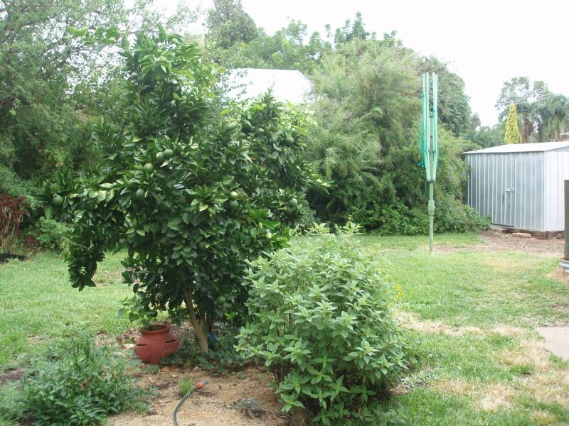 6 Stuart Avenue, Mildura VIC 3500