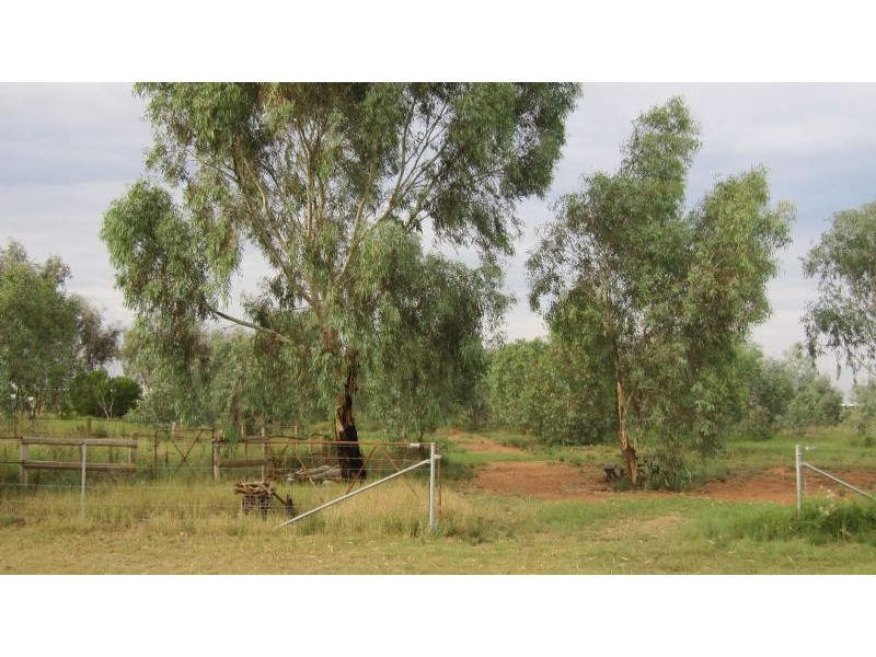 55 Damour Road, Robinvale VIC 3549