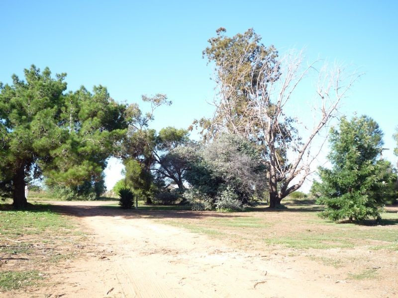 222 Nursery Ridge Road, Red Cliffs VIC 3496