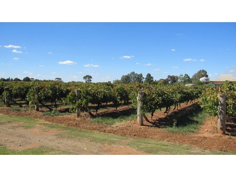 86 Damour Road, Robinvale VIC 3549