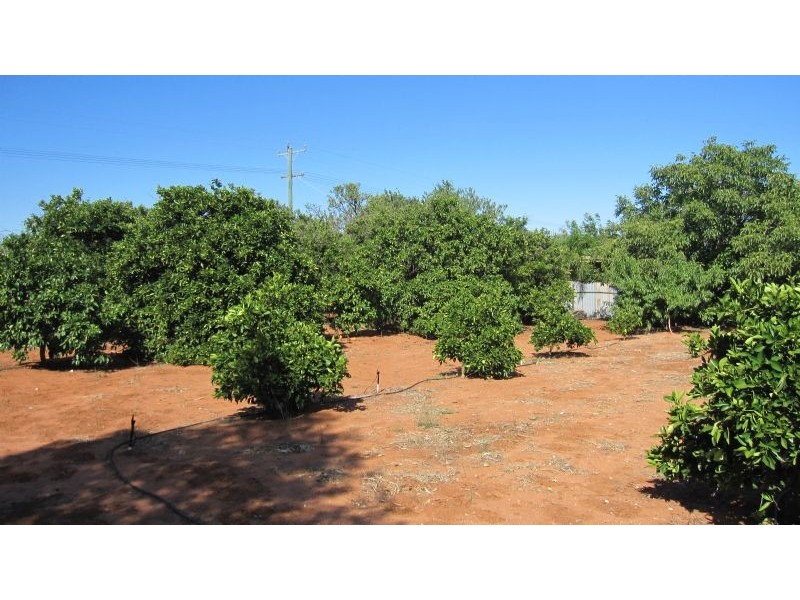 25 McCarthy’s Road, Mildura VIC 3500