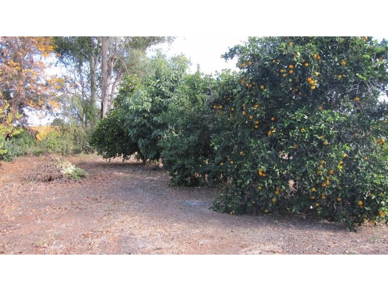 20 Happy Valley Road, Robinvale VIC 3549