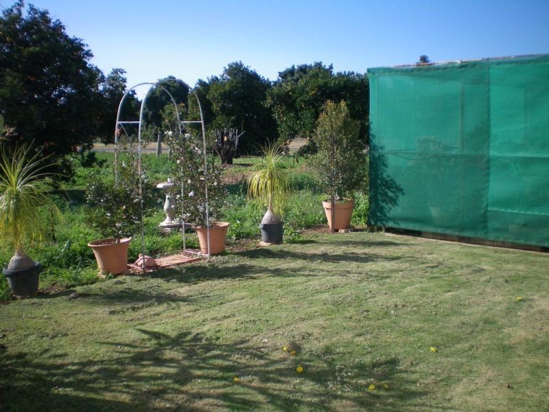 393 Koorlong Avenue, Irymple VIC 3498