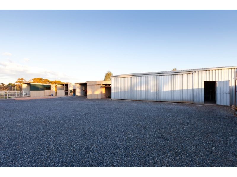 284 Dow Avenue, Birdwoodton VIC 3505