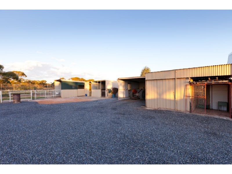 284 Dow Avenue, Birdwoodton VIC 3505