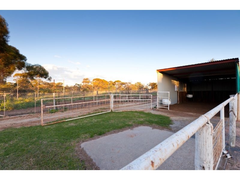 284 Dow Avenue, Birdwoodton VIC 3505