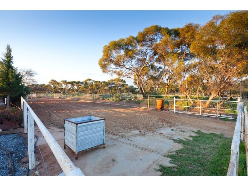 284 Dow Avenue, Birdwoodton VIC 3505