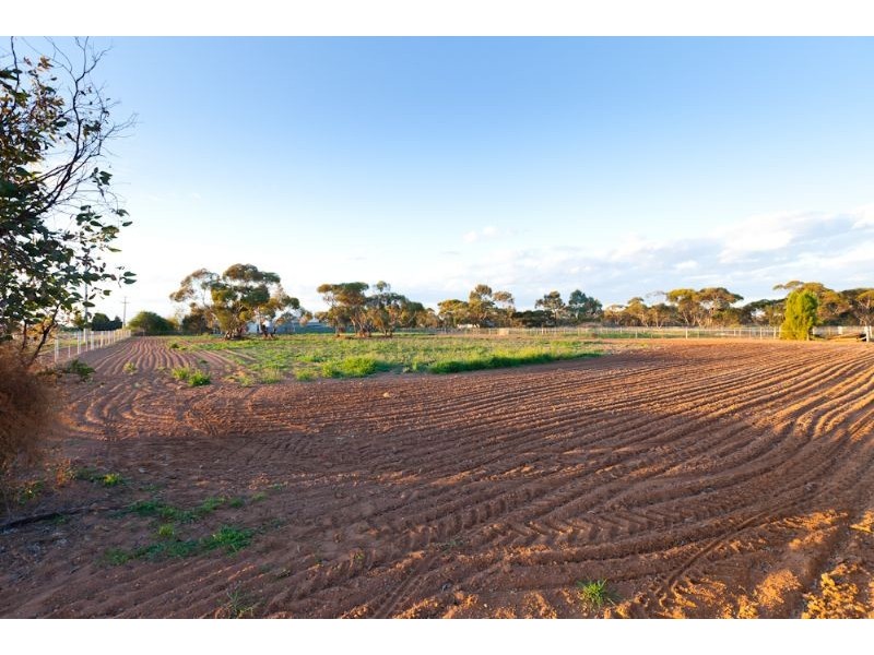 284 Dow Avenue, Birdwoodton VIC 3505