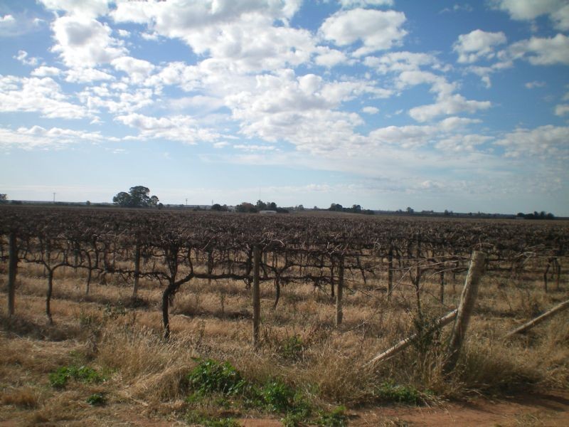 52 Mulga Street, Dareton NSW 2717