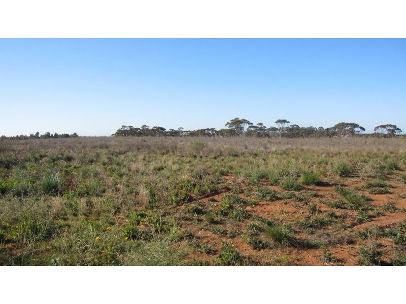 Silver City Highway, Buronga NSW 2739