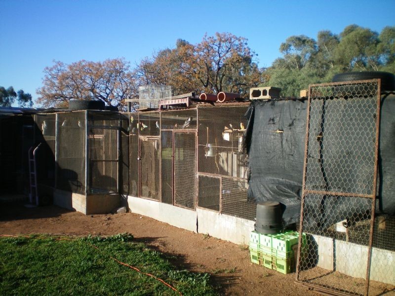 32 Living Drive, Merbein VIC 3505