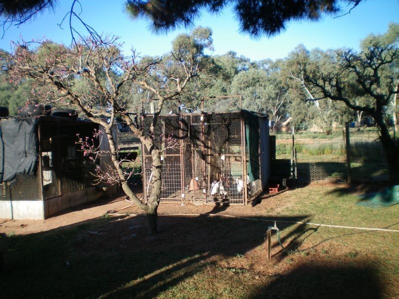 32 Living Drive, Merbein VIC 3505