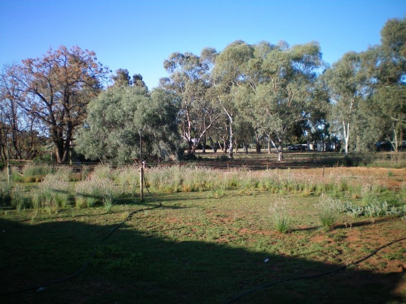 32 Living Drive, Merbein VIC 3505