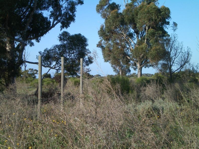 C.A. 2153 River Avenue, Merbein South VIC 3505