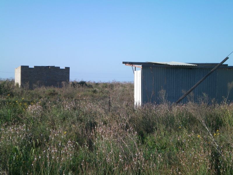 C.A. 2153 River Avenue, Merbein South VIC 3505