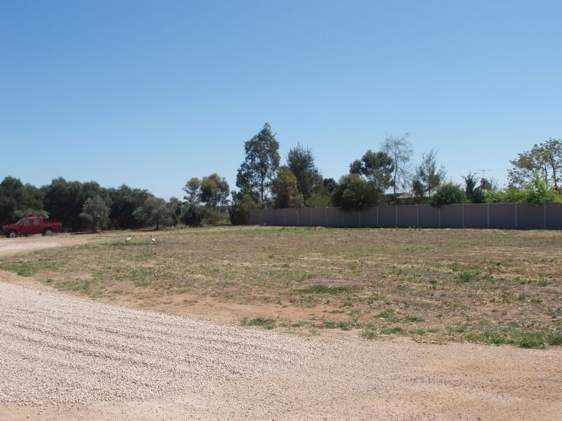 58 Euston Avenue, Irymple VIC 3498