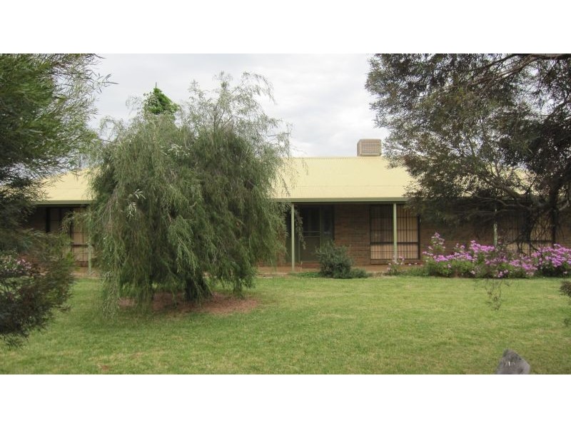 313 Latje Road, Robinvale VIC 3549