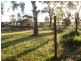 7 Church Street, Manangatang VIC 3546