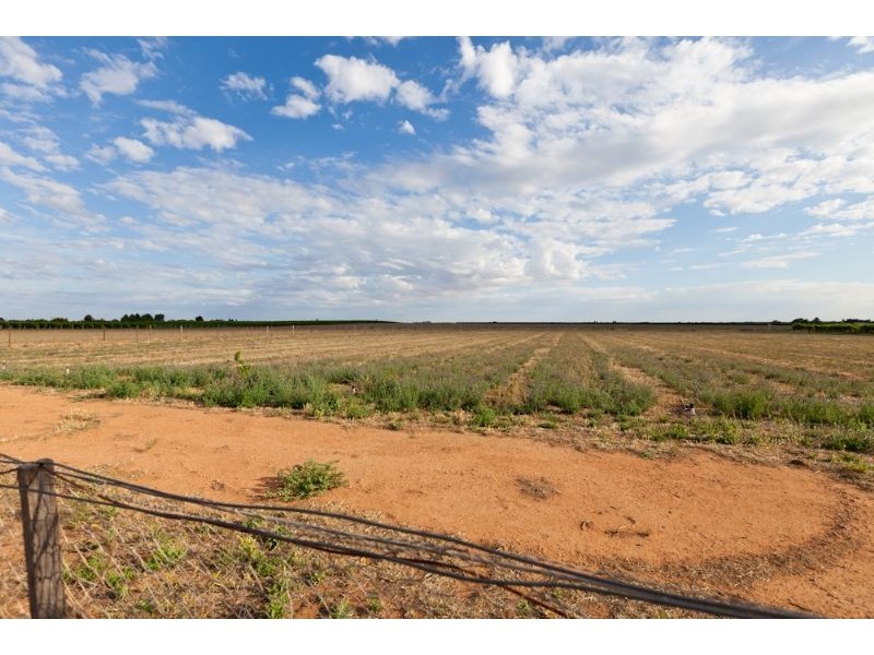 661 Wentworth Road, Merbein VIC 3505