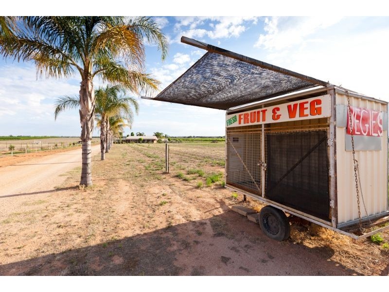 661 Wentworth Road, Merbein VIC 3505