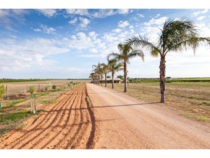 661 Wentworth Road, Merbein VIC 3505