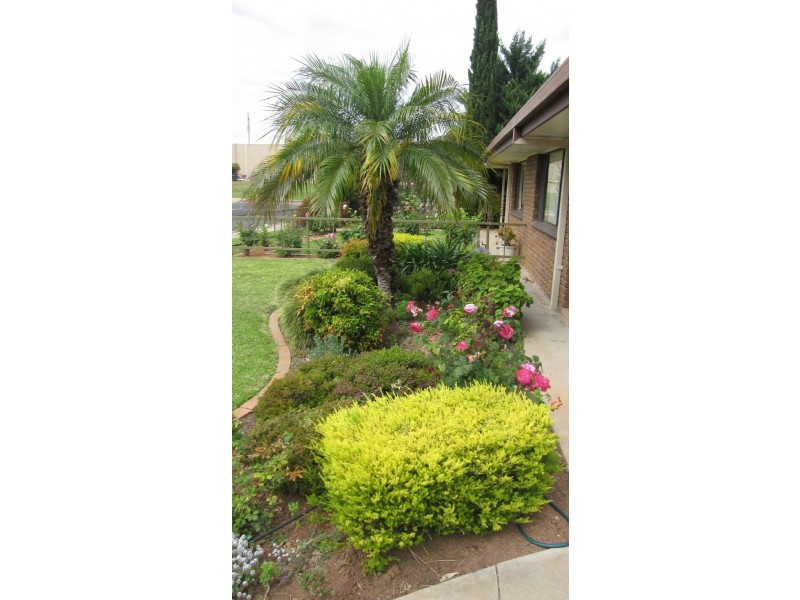 2/4 Eileen Street, Mildura VIC 3500