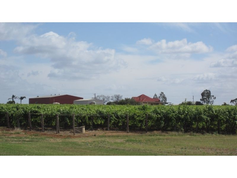 683 Wentworth Road, Yelta VIC 3505