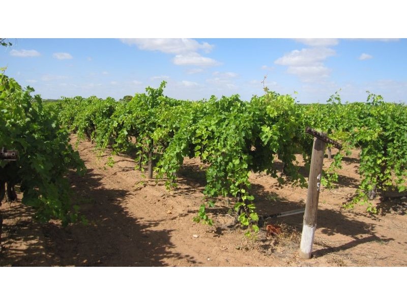 683 Wentworth Road, Yelta VIC 3505