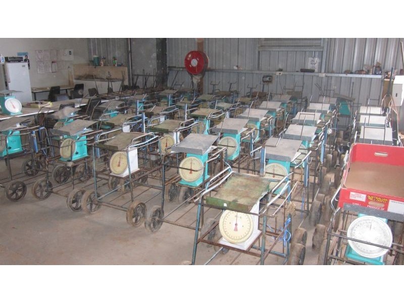 683 Wentworth Road, Yelta VIC 3505