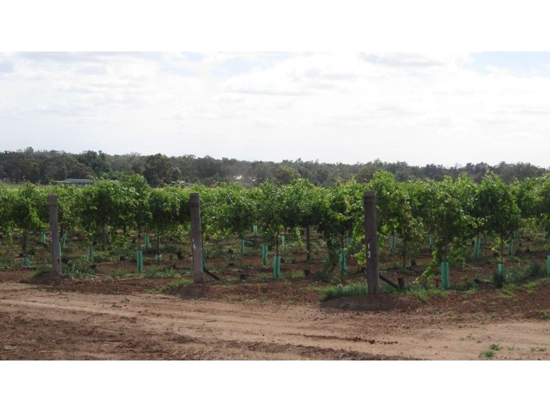 683 Wentworth Road, Yelta VIC 3505