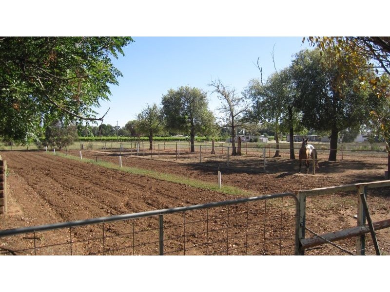 24 Williams Road, Robinvale VIC 3549