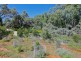 194 Adams Street, Wentworth NSW 2648