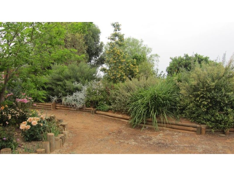 613 Shaggy Ridge Road, Robinvale VIC 3549